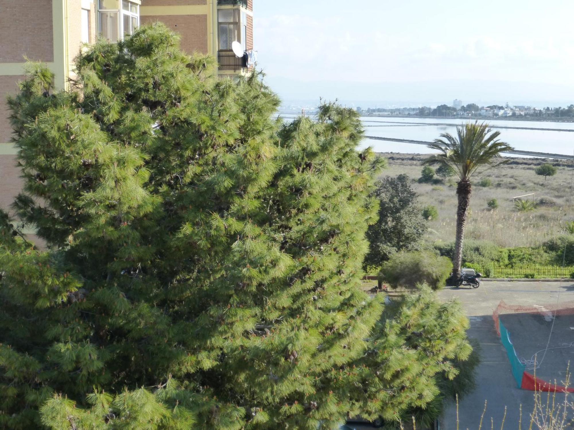 Chelu & Luna Cagliari Exteriör bild